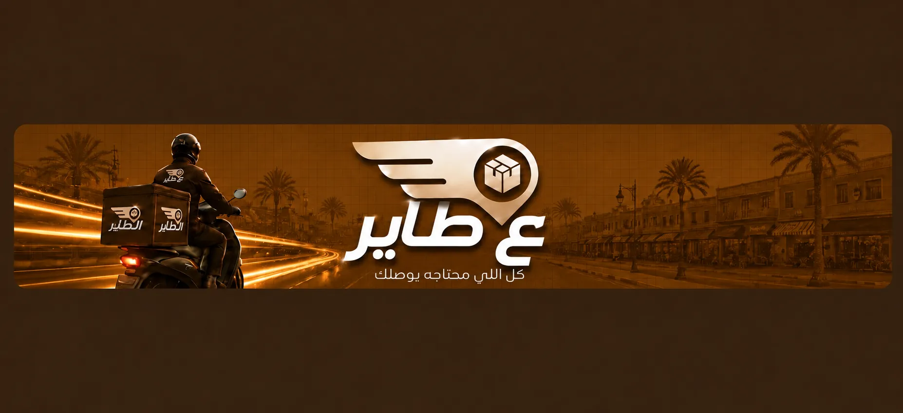 الطيار